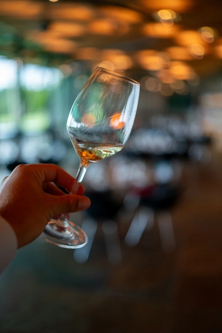 Hole in Wine 2025 — fotka 150